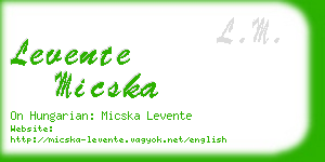 levente micska business card